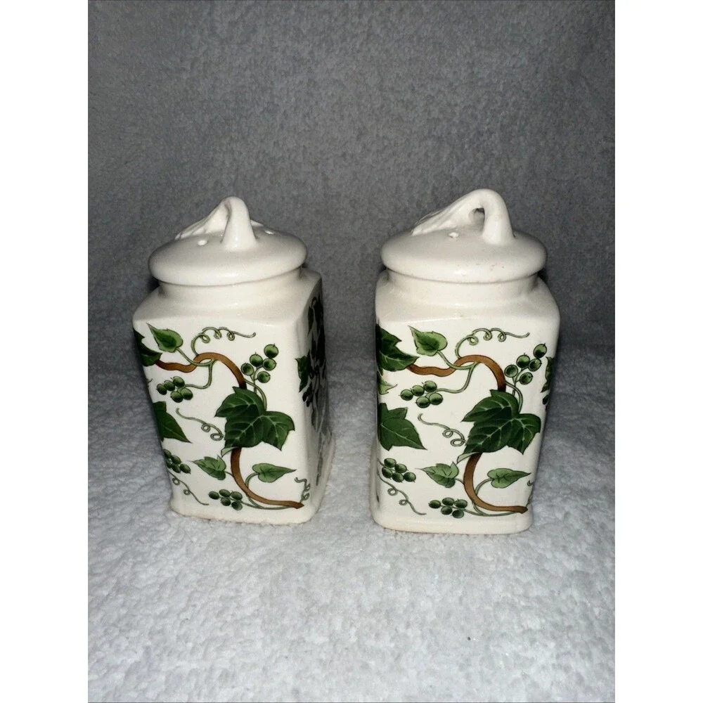 Ivy Ceramic Salt And Pepper Shaker Set Made In Japan